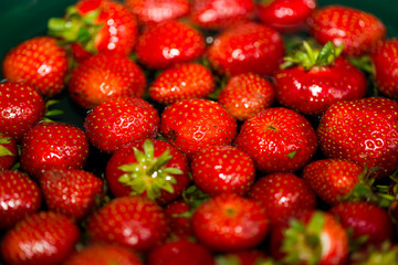 Washing strawberries, selective focus
