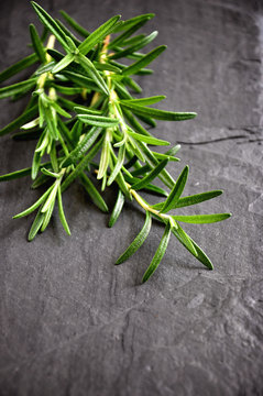 Fresh green rosemary on black background, selective focus