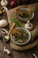 Mushroom soup