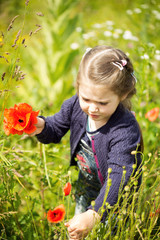 Child outdoors picking poppies