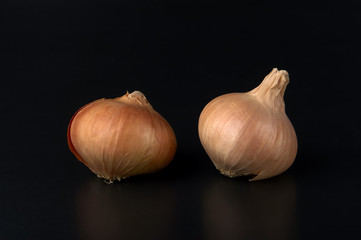 Obraz premium cipolle