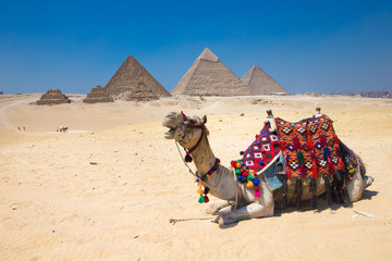 Giza in Cairo, Egypt.