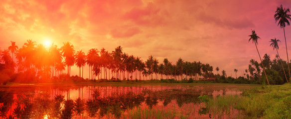 Colorful tropical landscape with twilight sky and palm trees ref
