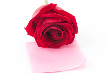 red rose with pink paper note