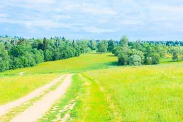 dirt road in a field