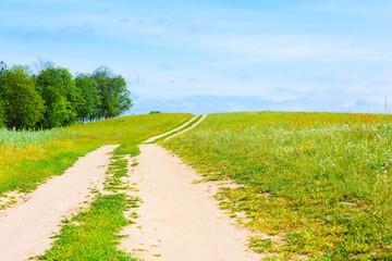 dirt road in a field