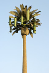 cell phone tower faux palm tree