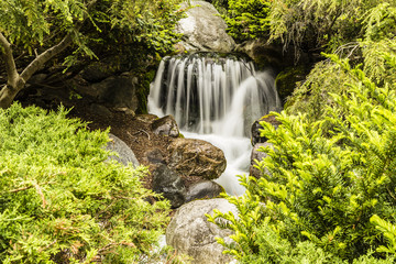 Fototapeta na wymiar Artificial waterfall in Dow Gardens in Midland, Michigan