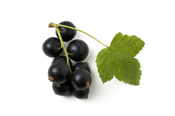 sulfuric berries currant with a leaf on a white background