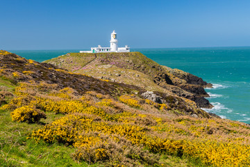 Fototapeta na wymiar Strumble Head Lighthouse Wales