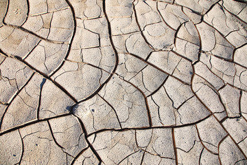 Cracked clay ground