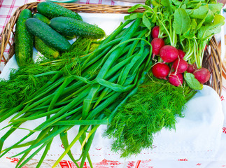 green onions, radishes and cucumbers on a table
