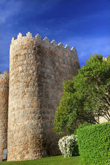 Avila Castle Walls Cityscape Castile Spain © Bill Perry