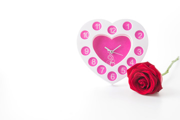 red rose isolated on white background