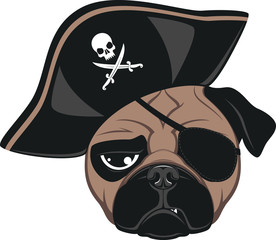 Funny dog