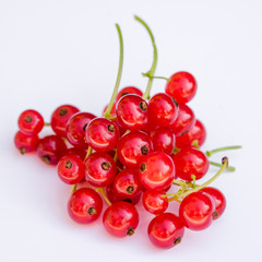 Ripe red currant on a white background