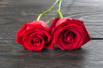 red rose on wood background