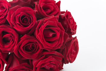 red rose bouquet on white background