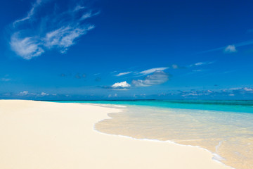 paradise wild beach on the Caribbean