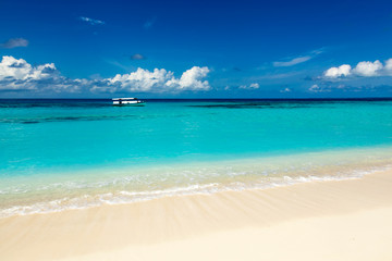 paradise wild beach on the Caribbean