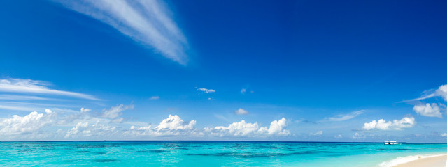 panorama of wild tropical Caribbean coast