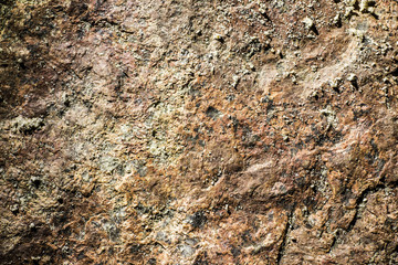 Fototapeta na wymiar Sea rock closeup texture.