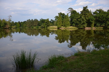 lake surrounded by trees