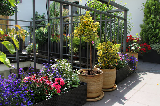 Beautiful modern terrace with mix of summer flowers