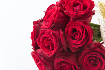 red rose bouquet on white background
