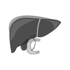 the illustration dedicated to the  human liver.
