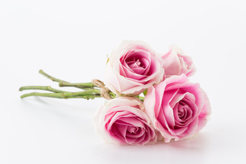 white and pink rose bouquet on white background