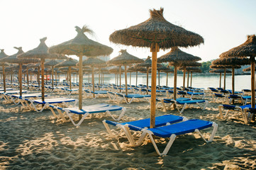 Tropical coastline of Majorca