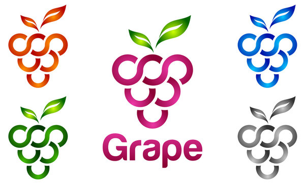 grape, plant, fruit, wine, agriculture, vector, logo