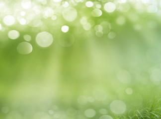 Obraz premium Spring abstract background