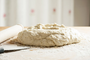 Fresh homemade pizza dough