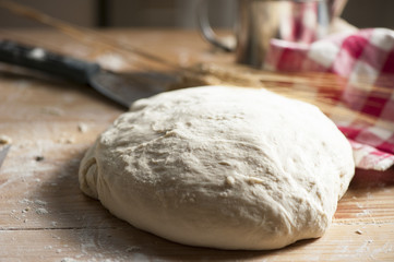 Fresh homemade pizza dough