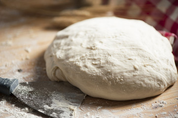 Fresh homemade pizza dough