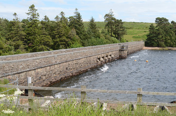 Fototapeta na wymiar Venford Reservoir, Dartmoor 