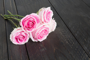 white and pink rose on wood background