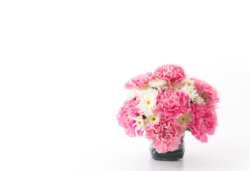 pink carnations flower
