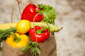 Fresh vegetables at shopping bags grocery market