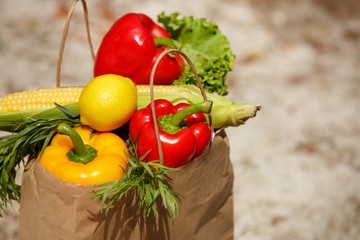 Fresh vegetables at shopping bags grocery market
