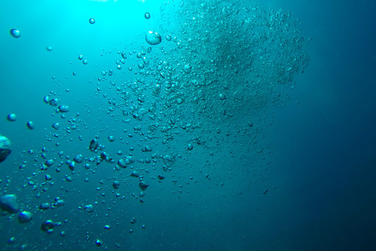 Underwater bubbles rise up towards the sun