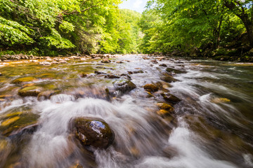 A nice, refreshing cool mountain stream cascades down the lush Blue Ridge Mountains of North Carolina. 
