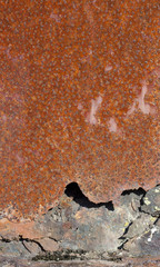 Holes in Plastic Can