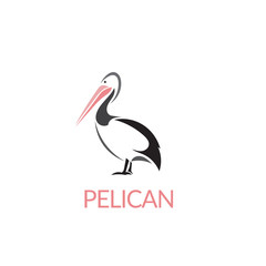Artistic stylized pelican icon. Silhouette birds. Creative art logo design. Vector illustration.
