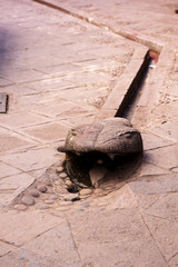 Snake Head Carving Gutter In Walkway Cusco Peru