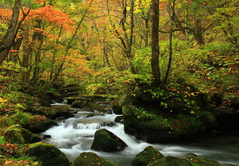 奥入瀬渓流の紅葉　石ケ戸の瀬