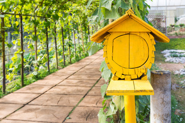 yellow wooden bird house