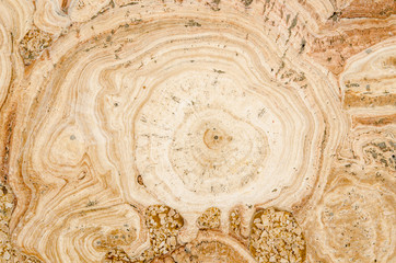 texture of the wall for background